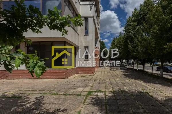 Spațiu comercial Buhusi - poza 3