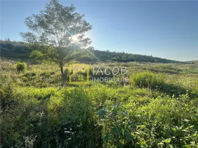 Teren Magura str. Intre Vii Islazului 550 mp - Magura