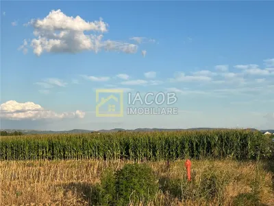Loturi teren Bogdan Voda Bacau - foto 3