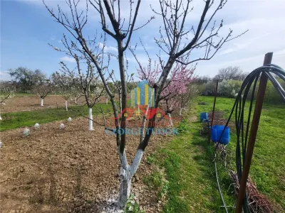 Vanzare casa Bolintin Vale Suseni 104 - foto 10