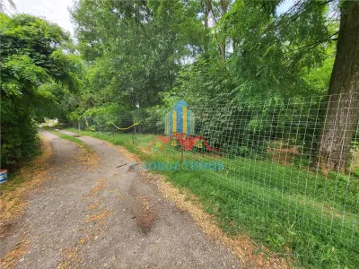 Casă 3 camere Bolintin-Vale - poza 16