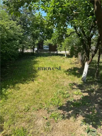 Teren Satu Mare - poza 1