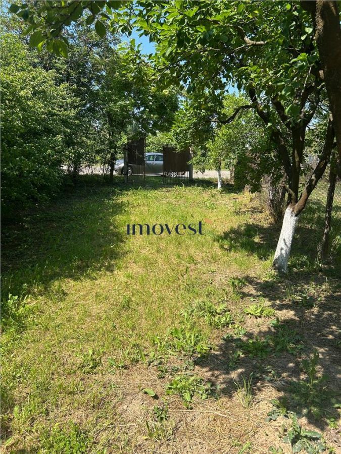 Teren de vanzare Bercu Rosu - Satu Mare