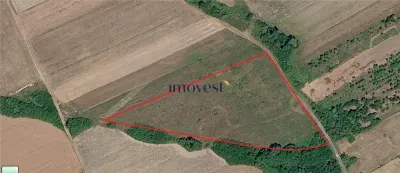 Teren intravilan de vanzare in Viile Satu Mare | 13.600 mp (1,36 ha) | Proiect de agrement avizat | Oportunitate de investitie! - Viile Satu Mare