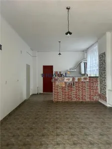 Teren 77 ari cu 3 hale inchiriate + spatiu comercial de vanzare in Odoreu, Satu Mare - foto 2