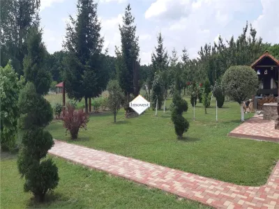 Casă 5 camere Viile Satu Mare - poza 7