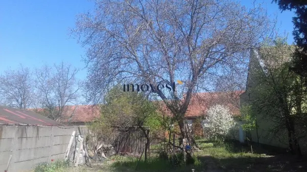 Teren Satu Mare - poza 1