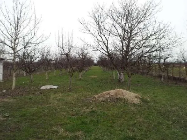 Teren Satu Mare - poza 3