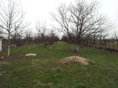 Teren Satu Mare - poza 3