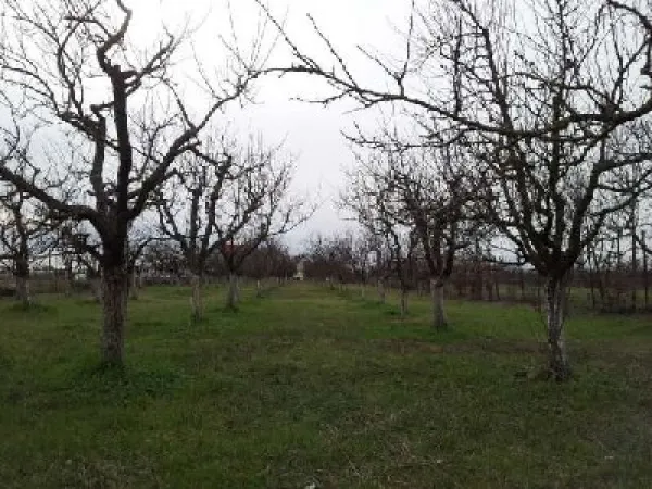 Teren Satu Mare - poza 5