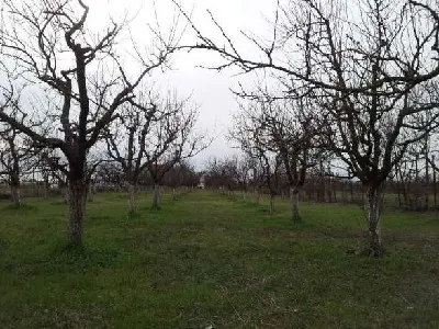 Teren Satu Mare - poza 5