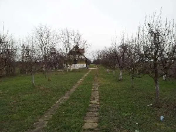 Teren Satu Mare - poza 8