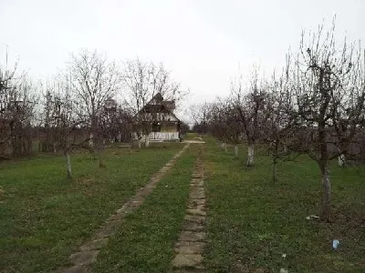 Teren Satu Mare - poza 8