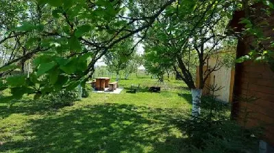 Terenuri  de vanzare Satu Mare - foto 2