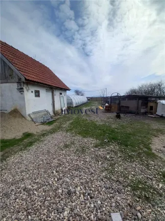 Casă 7 camere Ciuperceni - poza 24
