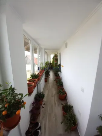 Casă 7 camere Ciuperceni - poza 4