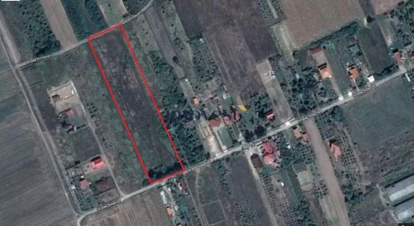 Teren Viile Satu Mare - poza 1