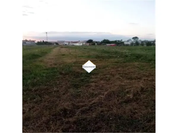 Teren Satu Mare - poza 2