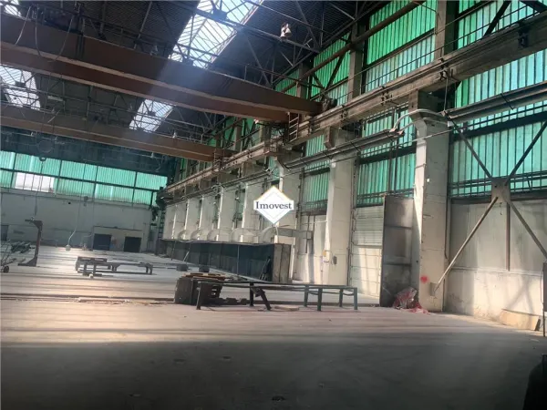 Spațiu industrial Satu Mare - poza 4