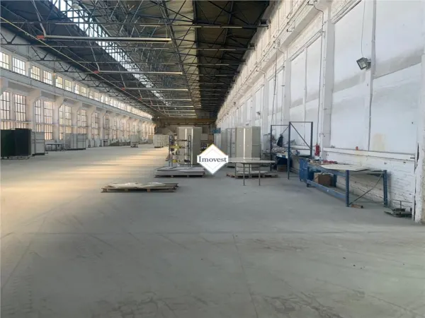 Spațiu industrial Satu Mare - poza 6