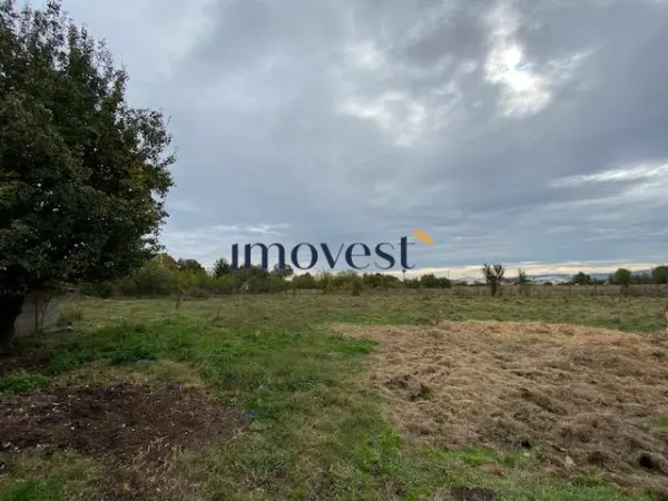 Casă 3 camere Valea Vinului - poza 12