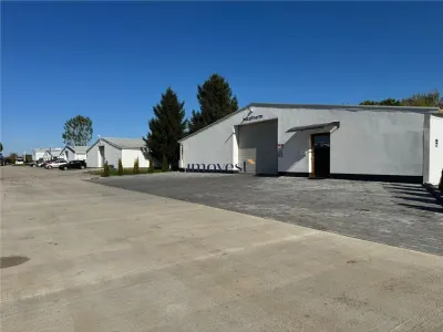 Spațiu industrial Satu Mare - poza 3
