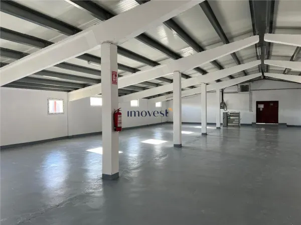 Spațiu industrial Satu Mare - poza 5
