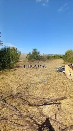 Teren Satu Mare - poza 1