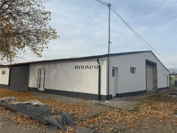 Spațiu industrial Satu Mare - poza 1