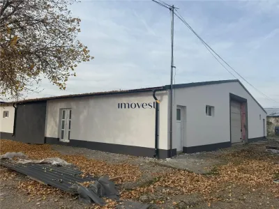 Hale industriale de închiriat  Parc industrial Careiului, Satu Mare - Satu Mare