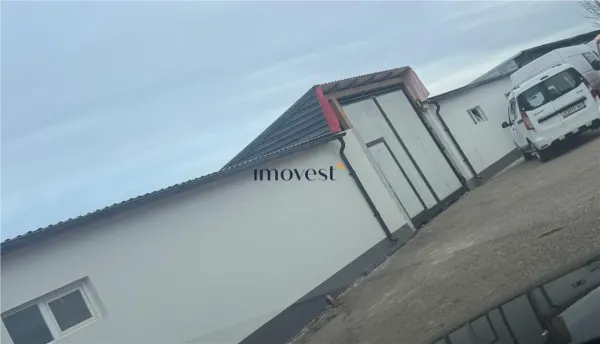 Spațiu industrial Satu Mare - poza 2