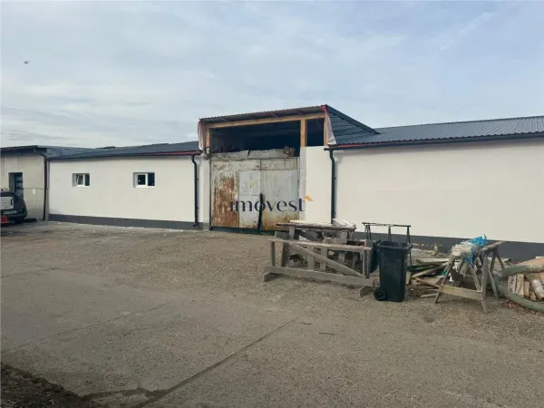 Spațiu industrial Satu Mare - poza 3