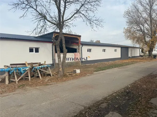 Spațiu industrial Satu Mare - poza 5