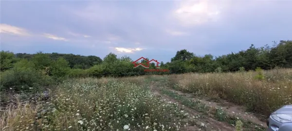 Teren Sibiu - poza 2