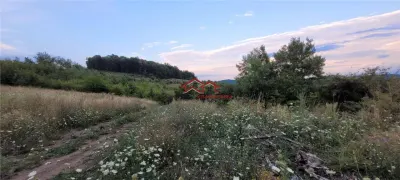 oportunitate teren zona agrement sau parc eolian,Sibiu - foto 3