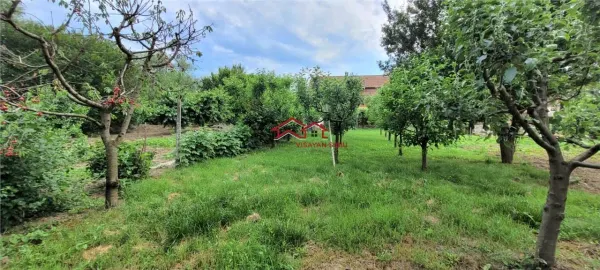 Casă 8 camere Apoldu de Jos - poza 5
