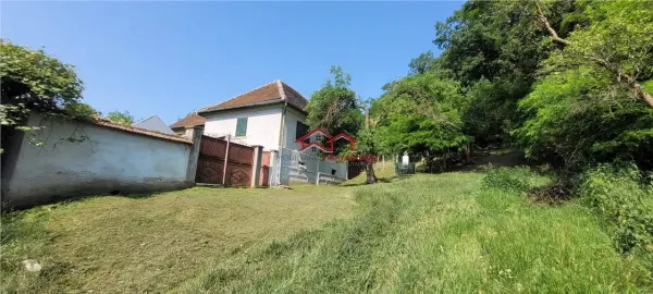 Casă 6 camere Apoldu de Jos - poza 1