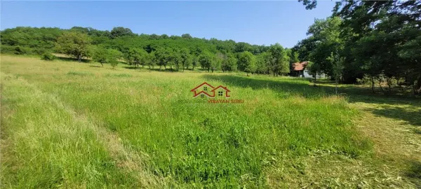 Casă 6 camere Apoldu de Jos - poza 18
