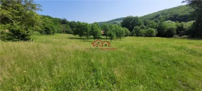 casa sat Sangatin, jud.Sibiu, cu teren1.93 Ha,comision 0 - foto 19