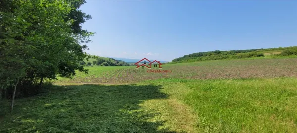 Casă 6 camere Apoldu de Jos - poza 20