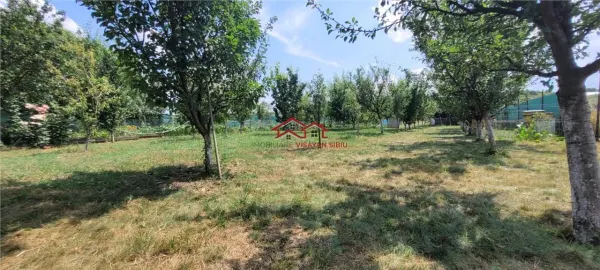 Casă 3 camere Șura Mică - poza 16