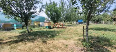 Teren 3100 mp cabana potential investitional Sura Mica Sibiu - foto 17