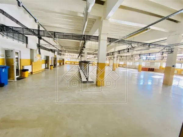 Spațiu industrial Sibiu - poza 2