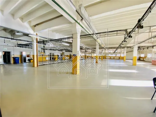 Spațiu industrial Sibiu - poza 11