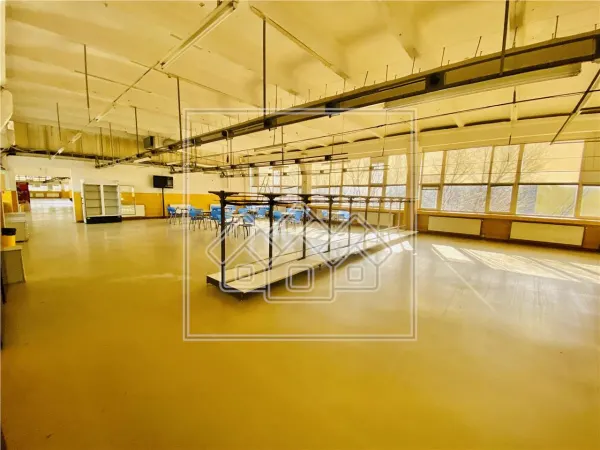 Spațiu industrial Sibiu - poza 13