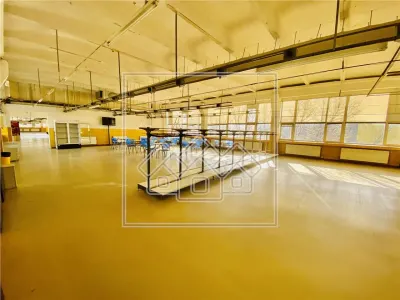 Spatiu industrial si de birouri in zona Terezian - finisaje moderne - foto 13
