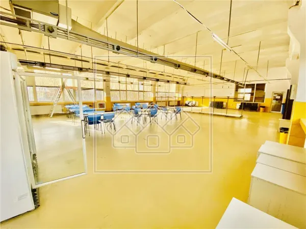 Spațiu industrial Sibiu - poza 14