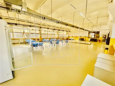 Spatiu industrial si de birouri in zona Terezian - finisaje moderne - foto 14