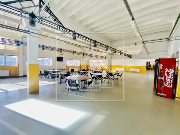 Spațiu industrial Sibiu - poza 15