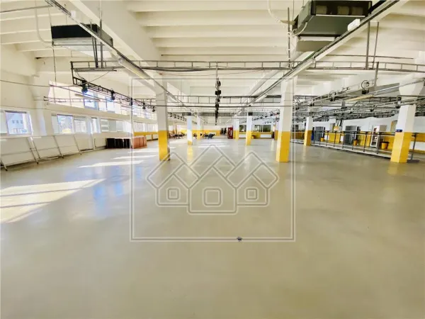Spațiu industrial Sibiu - poza 16